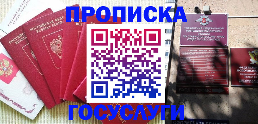 временная регистрация для всех в Палласовке